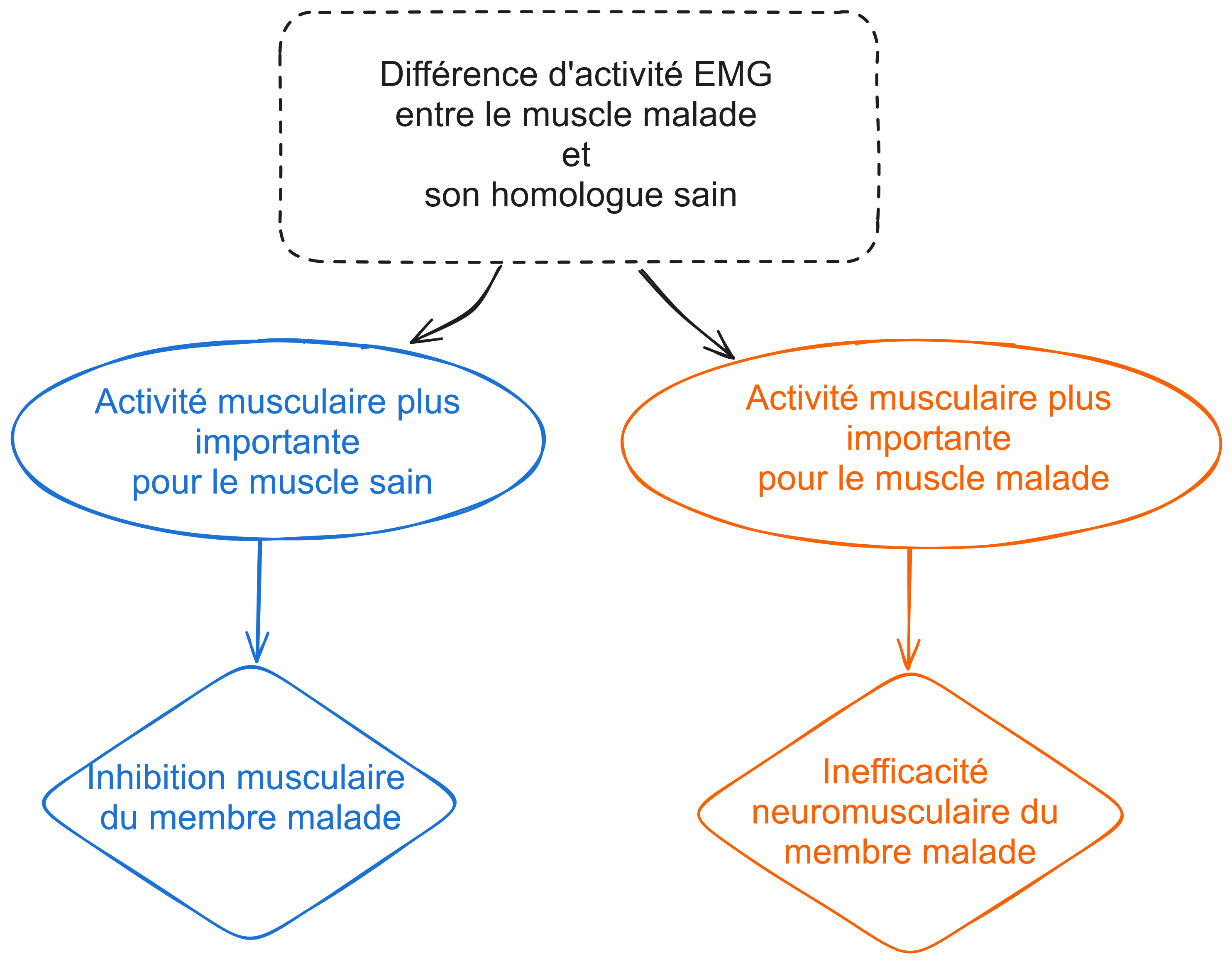 arbre de décision sur la pratique de l'EMG et la différence d'activation entre muscle sain et malade